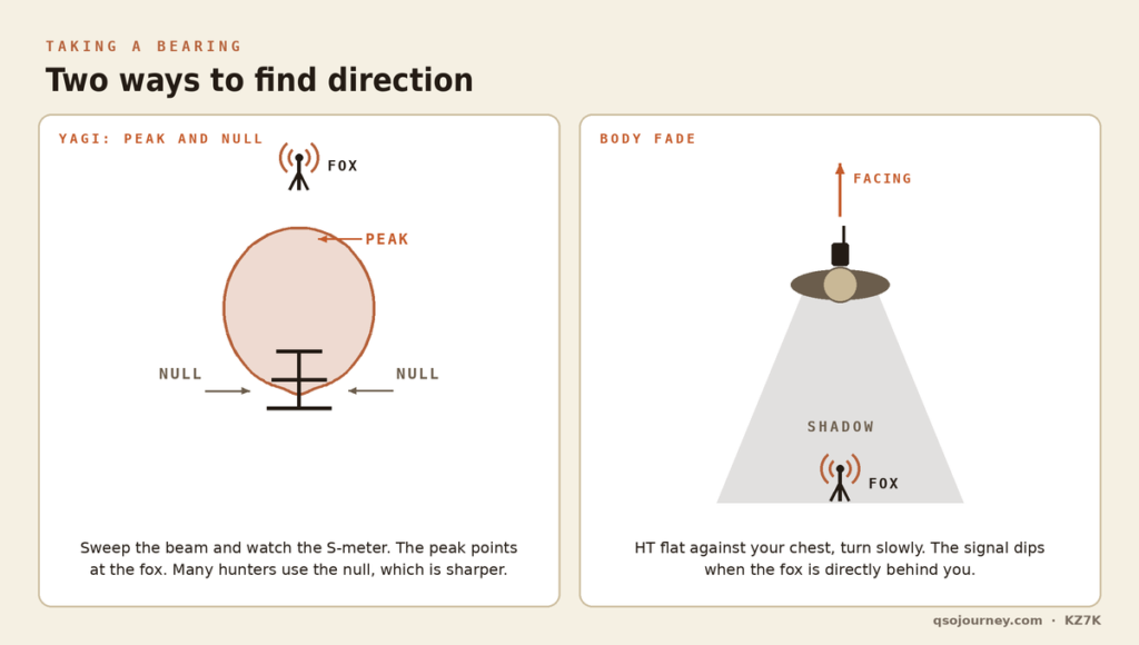 Two diagrams: a Yagi antenna pattern with the peak toward the fox and nulls to the sides, and a person using body fade with the fox in their shadow
